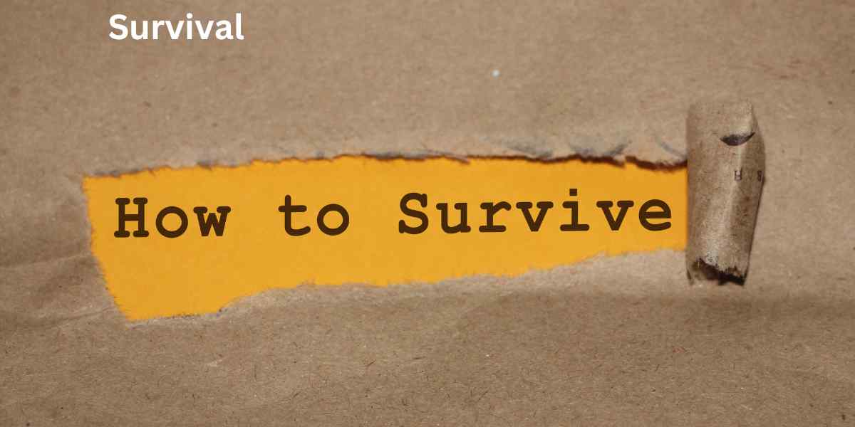 Survival 3 Rule: The Key to Staying Alive in Any Emergency